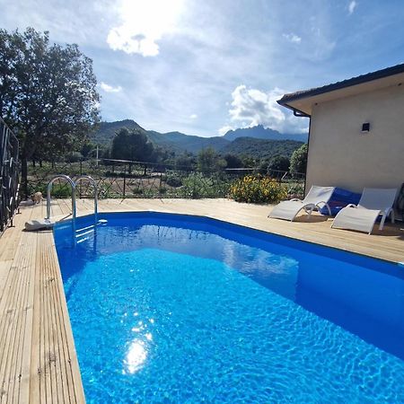 Domaine U Filanciu - Maison Chiara Avec Piscine - Centre Corse Villa Moltifao Buitenkant foto