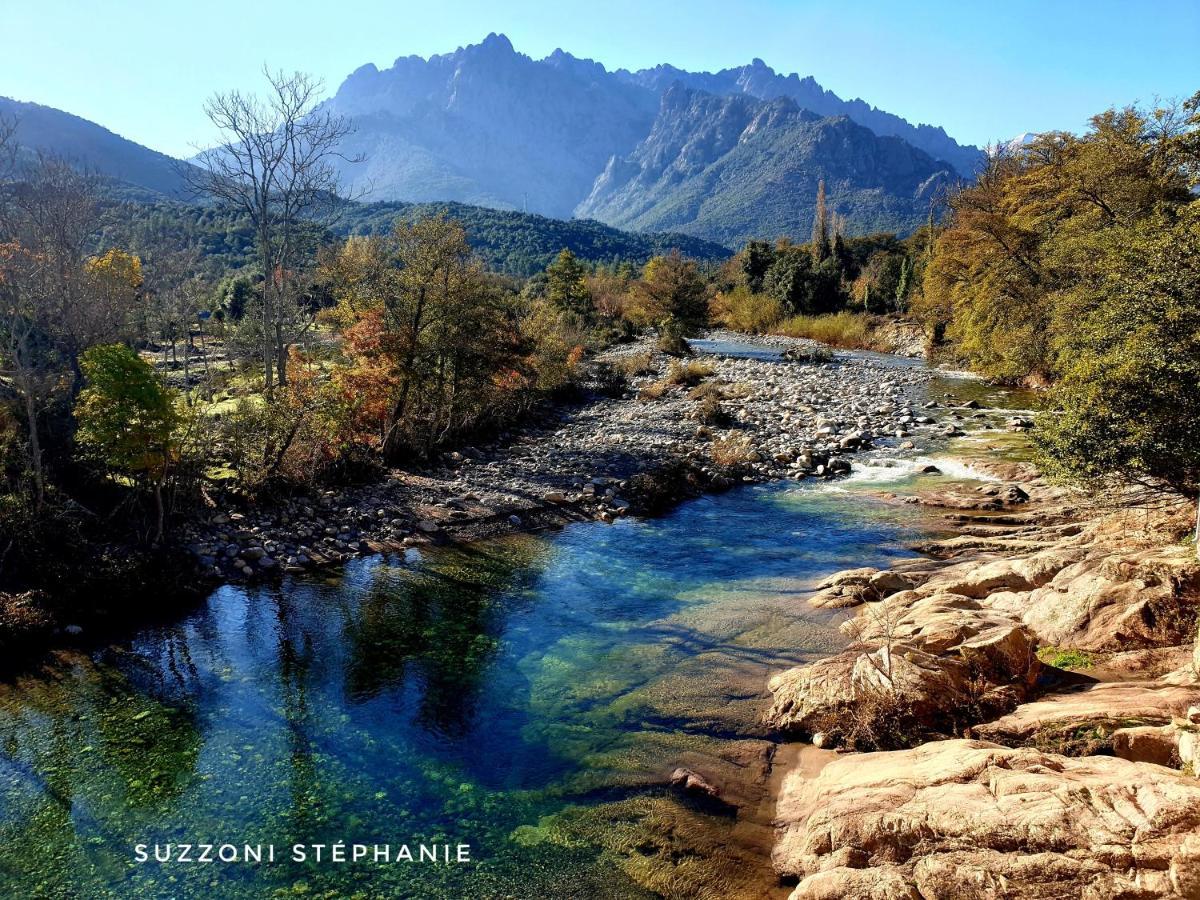 Domaine U Filanciu - Maison Chiara Avec Piscine - Centre Corse Villa Moltifao Buitenkant foto