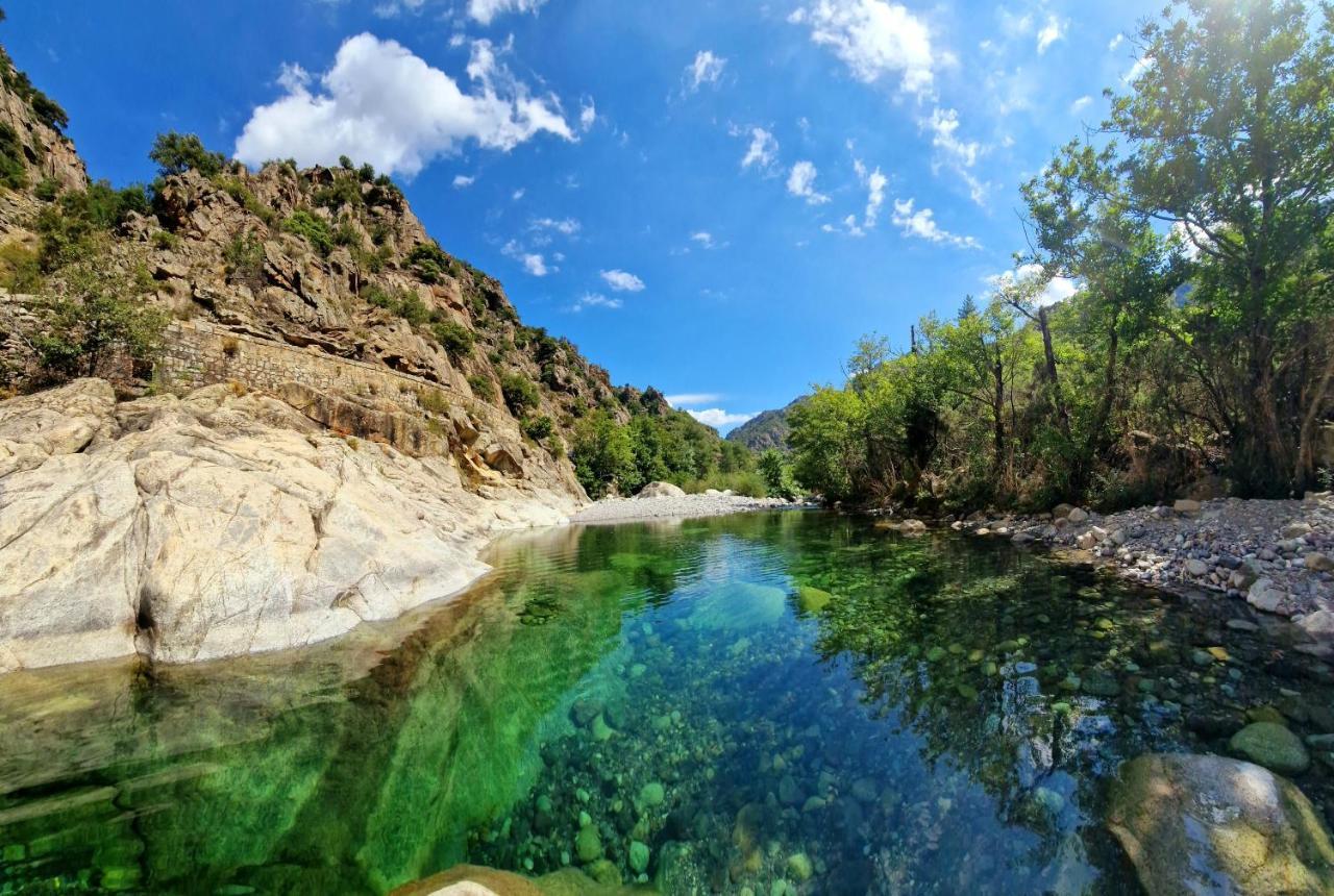 Domaine U Filanciu - Maison Chiara Avec Piscine - Centre Corse Villa Moltifao Buitenkant foto